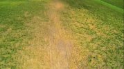 IMG_20210504_162022.jpg