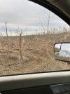 20210325GREENSBORO.jpg