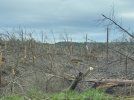20210325GREENSBORO2.jpg