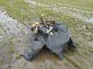 13320784_133470260392808_4613231843850786738_o.jpg