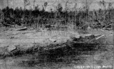 19320321CONASAUGA3.PNG