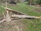 IMG_20210516_131726.jpg