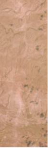 Screenshot_2021-05-18 EarthExplorer.png