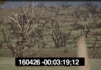 19990511LOYALVALLEY5.PNG