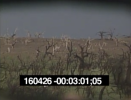 19990511LOYALVALLEY.PNG