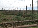 20200103SOUTHAFRICA7.jpg