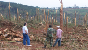 20090907SANPEDROMISIONES23.png