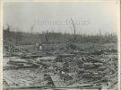 19330510BEATTYSWAMPS10.jpg