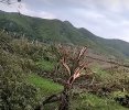 IMG_20210703_183504.jpg
