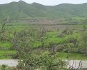 IMG_20210703_182016.jpg